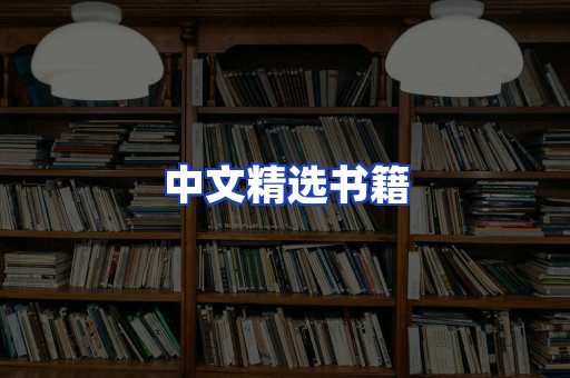 中文精选书籍